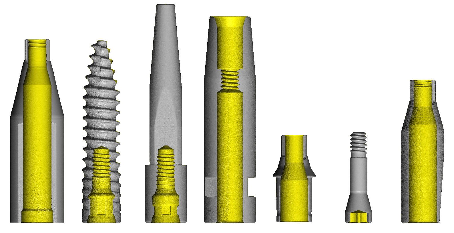 Surgical Screw CT Scan 2