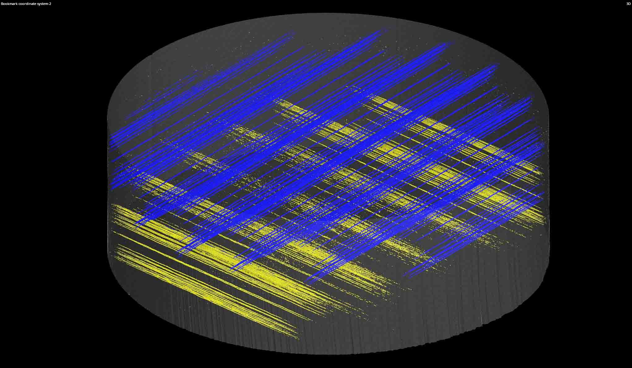 3D rendered fiber orientation