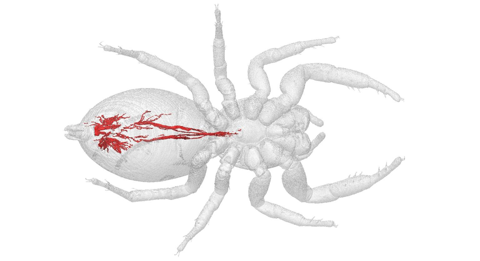 3D Render of Spinnerets